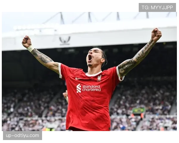 努涅斯如何从潜力新星蜕变为球队主力轮换？